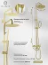 Supporto per doccia FILARETE Roun FL2020 (Oro opaco)